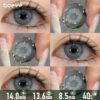 Arctic Gray-Blue Contact Lenses
